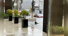 Temporal derrubou árvore, alagou ruas e arrancou telhado