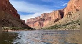 Camadas rochosas do Grand Canyon escondem criaturas de mais de meio bilhão de anos