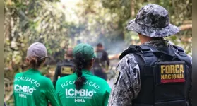 Imagem ilustrativa da notícia Oportunidade no ICMBio: vagas com ensino fundamental