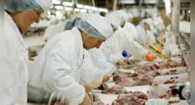 A JBS, uma das maiores empresas de alimentos do mundo, é um exemplo dessa expansão, anunciando 37 vagas de emprego para sua unidade Friboi no distrito de Casa de Tábua