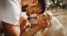 Os pesquisadores convidaram cerca de 40 donos de cães para um teste de estresse em laboratório.