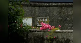 Local das escavações onde foram encontradas as crianças