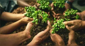 Produtor rural brasileiro: elo central de uma cadeia que precisa ser produtiva, rentável e regenerativa para garantir o futuro da produção agropecuária
