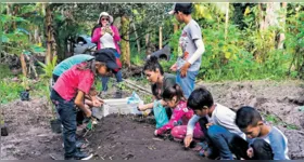 Neste sábado, 5 de julho, o Diário do Pará lança uma edição especial dedicada ao projeto "Pará que Orgulha e Transforma".