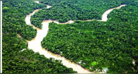 Estado registrou, entre agosto de 2024 e julho de 2025, a menor área recoberta por alertas de desmatamento da década, com 1.325 km²