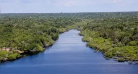 O Encontro de Cinema Amazônia Caribe reúne produtores e realizadores em um espaço de troca e protagonismo compartilhado.