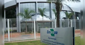 Embrapa promove capacitação