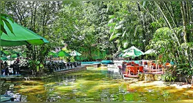 Piscinas naturais e artificiais, nascente de rio e muita vegetação. Um local ideal para relaxar.
