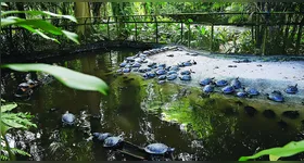 Parque Zoobotânico do Museu Paraense Emílio Goeldi