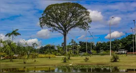As inscrições serão abertas nesta quarta-feira (16), exclusivamente pelo site do Ideflor-Bio.