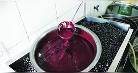 Apesar do recuo, o valor do açaí segue elevado em comparação com a inflação do período.
