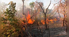 A combinação de altas temperaturas, tempo seco e ações humanas imprudentes aumenta significativamente o risco de incêndios