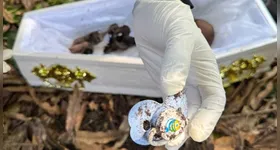 Itens da criança também foram encontrados