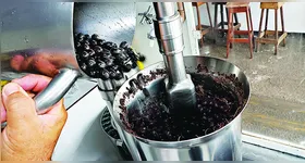 Aumento da taxação deixa produtos brasileiros no mercado norte-americano mais caros e reduz as exportações, atingindo a cadeia do açaí