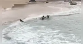 Surfistas salvam adolescente na praia