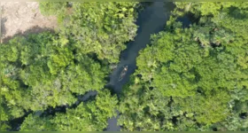 Para quem se interessa por um tipo de turismo que garanta uma maior conexão com a natureza, não faltam opções de unidades de conservação para visitar no Pará.