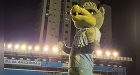 Papão quer manter o embalo positivo nos jogos da Série B