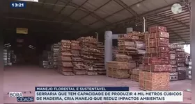 Imagem ilustrativa da notícia Manejo florestal garante renda e preservação da Amazônia