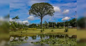 Corrida das Águas: evento será realizado no dia 29 de junho, às 6h, no Parque Estadual do Utinga, em Belém. Veja como se inscrever!