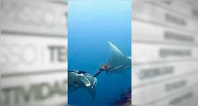 A reação tem divertido milhares de pessoas e rendeu diversos comentários nas redes sociais.