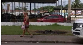 Cachorro foi queimado após ter sido atropelado em Icoaraci.
