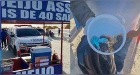 Segundo informações da Polícia Militar, Flávio usava sua barraca de queijos como fachada para comercializar entorpecentes