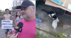 Os protetores e cuidadores animais de Ananindeua sempre alertam sobre a situação, mas seguem ignorados por autoridades municipais.