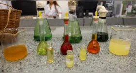 Um diferencial importante é a integração com os laboratórios do PCT Guamá, que fornecem suporte técnico-científico para o desenvolvimento de produtos e serviços baseados em ciência e tecnologia.