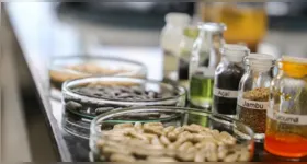 Entre os destaques da programação estão exposições sobre o Parque de Bioeconomia e Inovação da Amazônia e o Centro de Sociobioeconomia, além de estudos inéditos sobre temas relacionados à bioeconomia regional