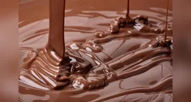 Especialistas na área da saúde explicam 14 mitos e verdades sobre o chocolate.