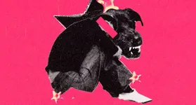 Imagem ilustrativa da notícia Égua do som – É rebeldia musical em Belém