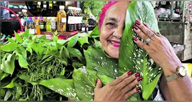 Projeto de lei declara as "Erveiras do Mercado do Ver-o-Peso" como Patrimônio Cultural de Natureza Imaterial do Estado do Pará.