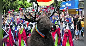 O ponto alto do evento foi a derrubada simbólica dos mastros de São João, acompanhada de músicas e rituais que renovam a esperança para o próximo ano.