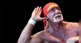 Hulk Hogan fez sucesso na "Luta Livre" e com sua carreira como ator, participando de filmes como Rocky III e Gremilins 2, além de seriados.