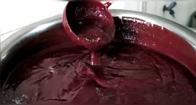 No Pará, os municípios campeões em produção do fruto são Igarapé-Miri (422,24 mil toneladas), Cametá (157,32 mil toneladas) e Abaetetuba (112,00 mil toneladas).