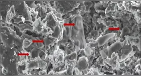 Descoberta em fóssil de dinossauro mandíbula oferece novas pistas sobre a origem e evolução do câncer e abre caminho para avanços na medicina moderna.