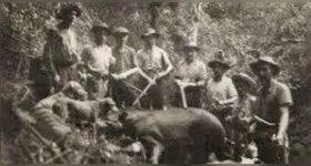 Maior mamífero terrestre da América do Sul não era visto na região há mais de 100 anos.