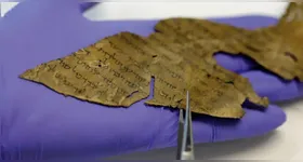 Nova tecnologia permite identificar com precisão a origem dos textos antigos.