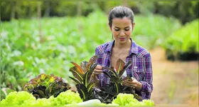 Conforme levantamento da Jucepa, de janeiro a maio deste ano, o Estado somava 5.520 empresas rurais registradas.