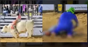 Peão morre após ser pisoteado por touro no MT.