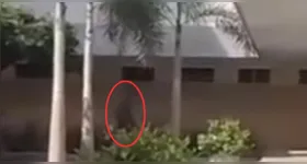 Câmeras de segurança registram sombra misteriosa em um hospital de Macapá.