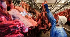 Setor recua após tarifa de 50% imposta por Trump e redireciona exportações para outros países.