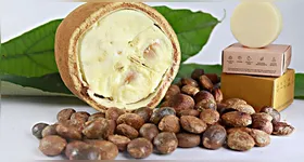 Nativa da Amazônia, a fruta cupuaçu vem ganhando destaque global graças ao sabor único e aos múltiplos benefícios à saúde.