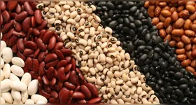 Versátil e nutritivo, o grão é base da alimentação no Brasil e aliado da saúde.