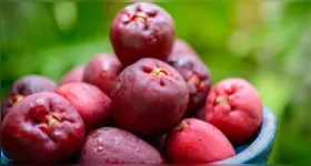 Na alimentação, essa fruta pode ser utilizada em saladas, molhos e marinadas.