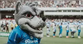 Lobo Mau, o mascote do Paysandu