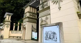 Projeto reúne educação ambiental, reflorestamento e legado da sumaúma bicentenária da Basílica de Nazaré.