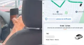 Menor de idade flagra motorista de aplicativo vendo conteúdos adultos durante corrida em São Paulo.