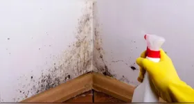 Saber identificar o tipo de tinta é essencial para remover sujeiras e mofo de forma segura