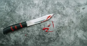 Um casal de idosos foi assassinado em Óbidos, Pará, em um crime brutal. O principal suspeito é um vizinho, e a polícia investiga as circunstâncias do caso.